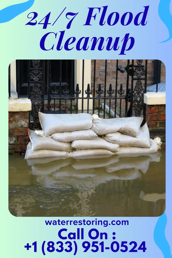 24/7 Flood Cleanup in Belvidere, NJ