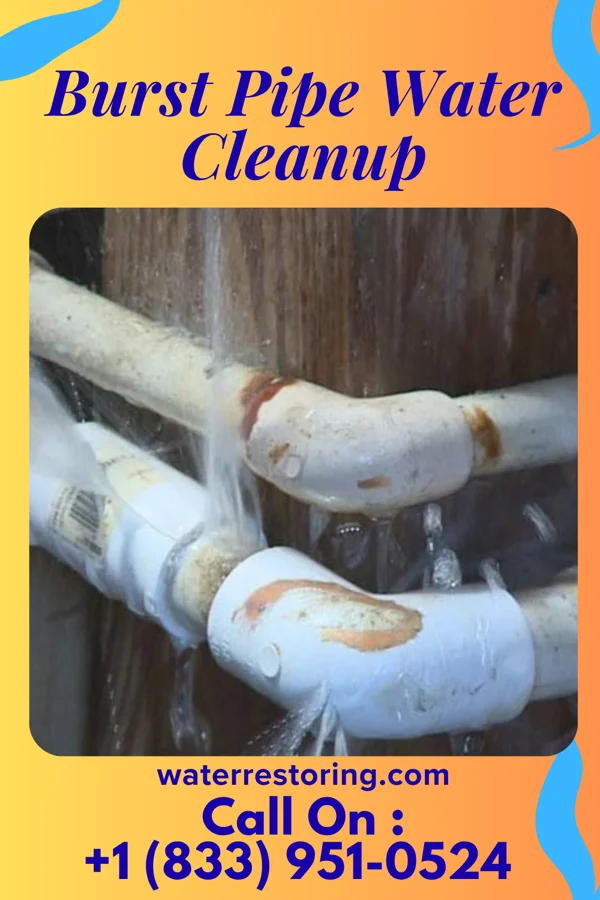 Burst Pipe Water Cleanup in Belvidere, NJ