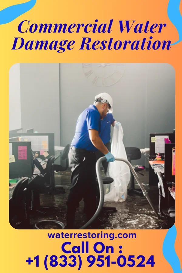 Commercial Water Damage Restoration in Belvidere, NJ