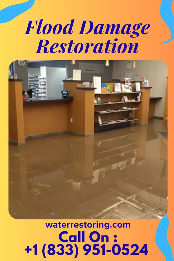 Flood Damage Restoration in Belvidere, NJ