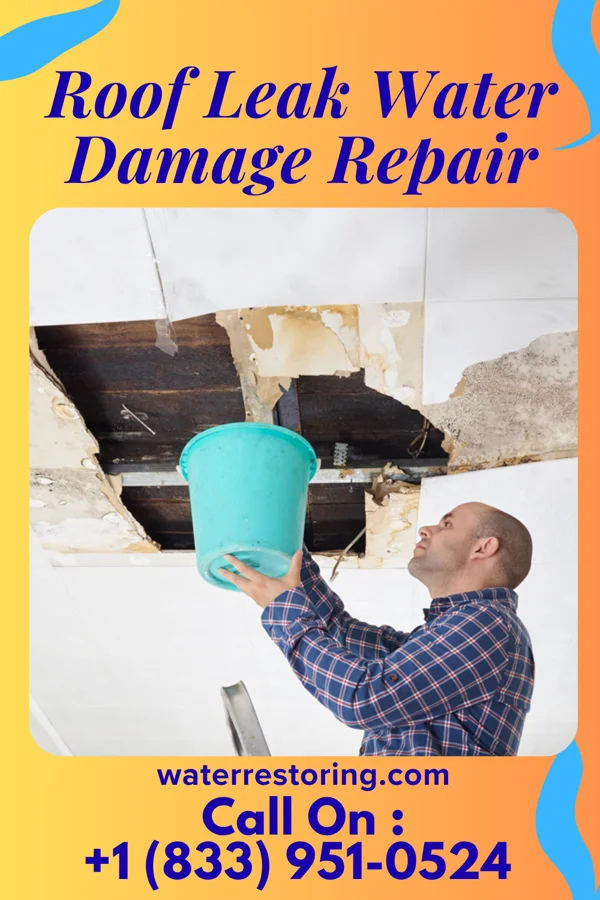 Roof Leak Water Damage Repair in Belvidere, NJ