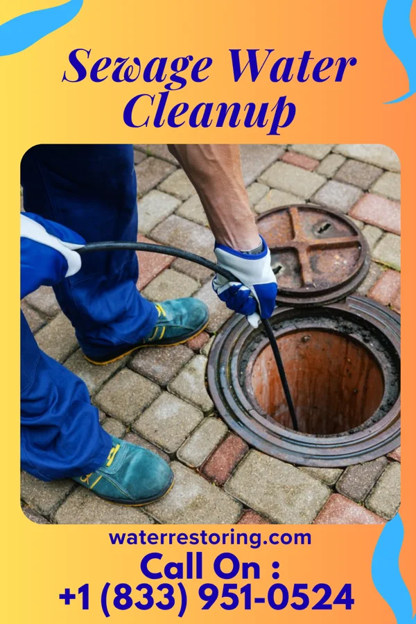 Sewage Water Cleanup in Belvidere, NJ