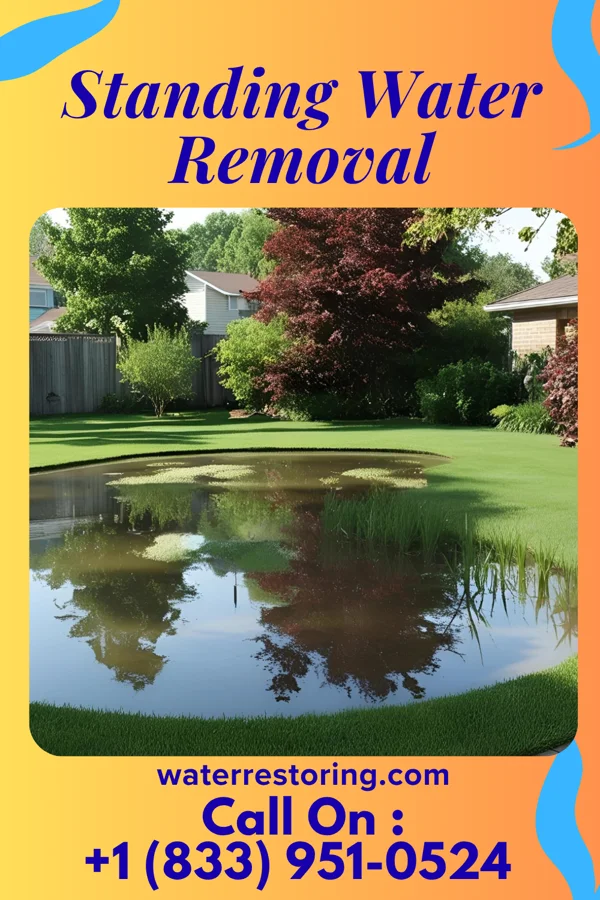 Standing Water Removal in Belvidere, NJ
